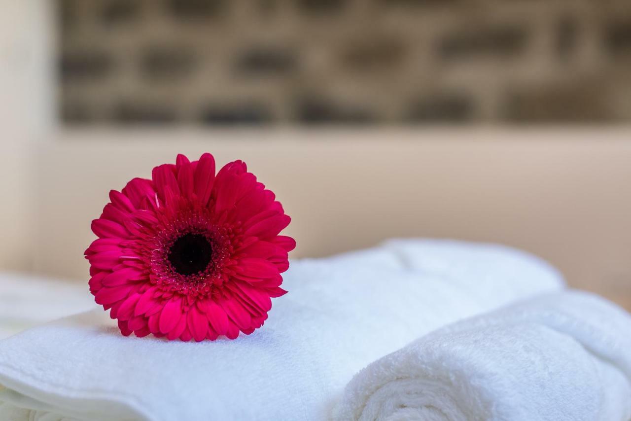 Chez Lucia Apartment Ponta Delgada  Ngoại thất bức ảnh